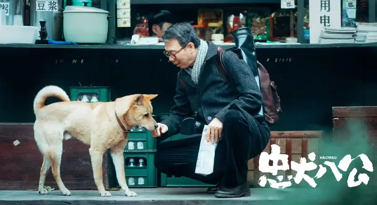 如何解除视频的地区限制