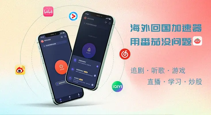 归雁加速器app示例